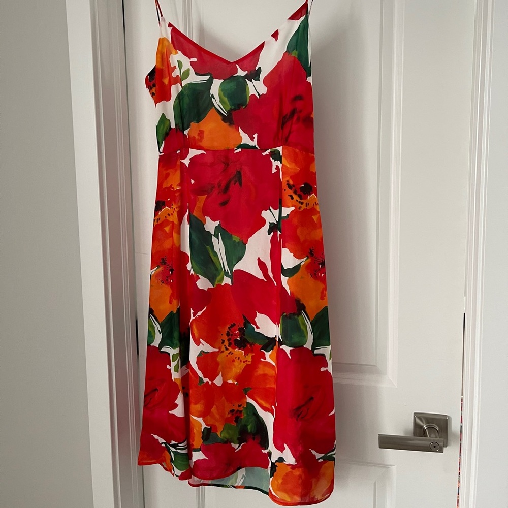 Zara poppy floral print dress